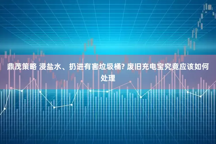 鼎茂策略 浸盐水、扔进有害垃圾桶? 废旧充电宝究竟应该如何处理