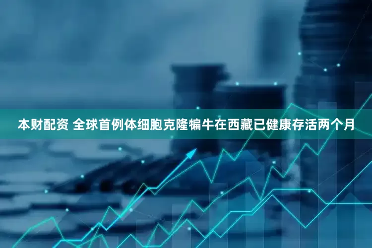 本财配资 全球首例体细胞克隆犏牛在西藏已健康存活两个月