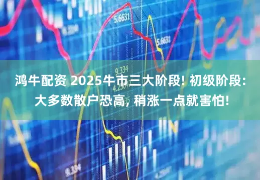 鸿牛配资 2025牛市三大阶段! 初级阶段: 大多数散户恐高, 稍涨一点就害怕!